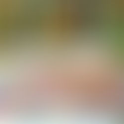 The Art of Indian Rug Manufacturing: A Journey Through Bhadohi and Pihue Creations, India’s Leading Rug Manufacturer and Exporter