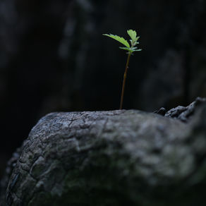 How Long Has This Been Going On? Finding Hope Beyond Temporary Solutions