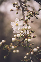 Image by Anthony Ievlev