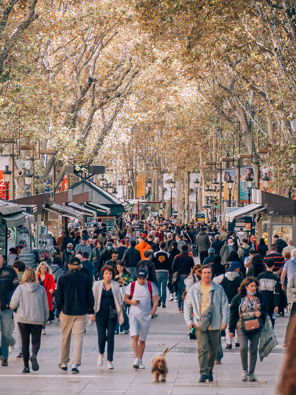 People stroll down a tree-lined street, bustling with activity. Autumn leaves create a warm canopy. A sense of lively urban vibrancy.