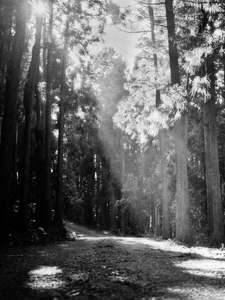 Embracing Grief: How Breathwork Can Support Your Healing Journey