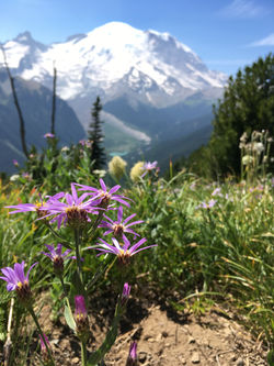 Image by Stephanie Bergeron