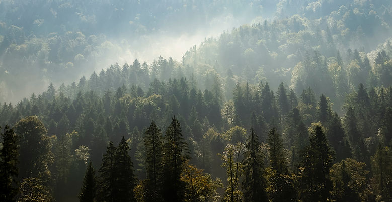 Image by Jan Huber