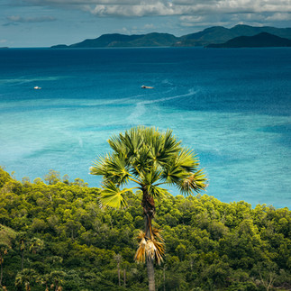 Cook islands charter yacht 