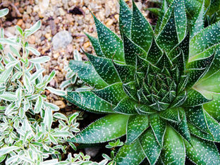 Readings week of September 1st.