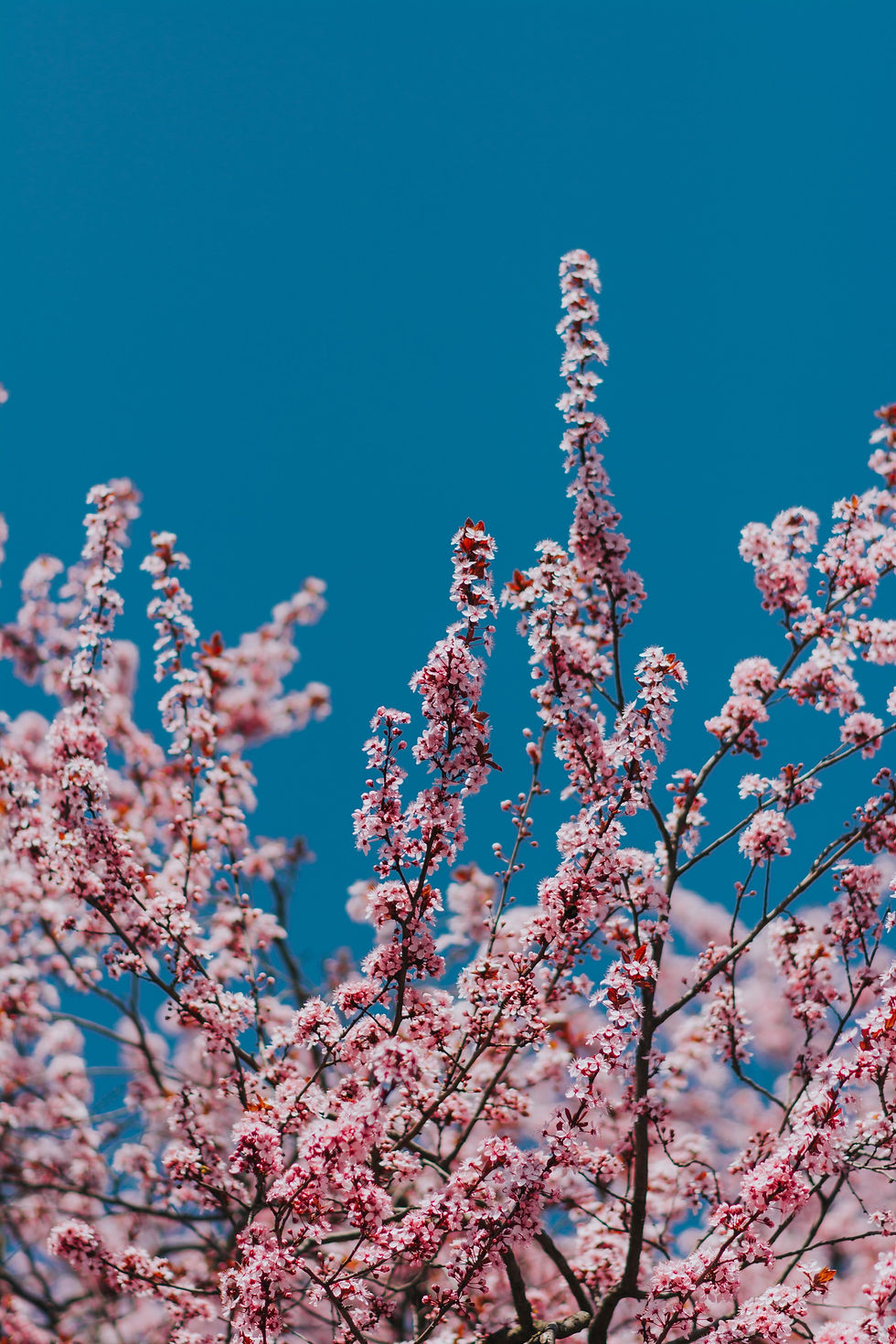 Image by Nagy Arnold