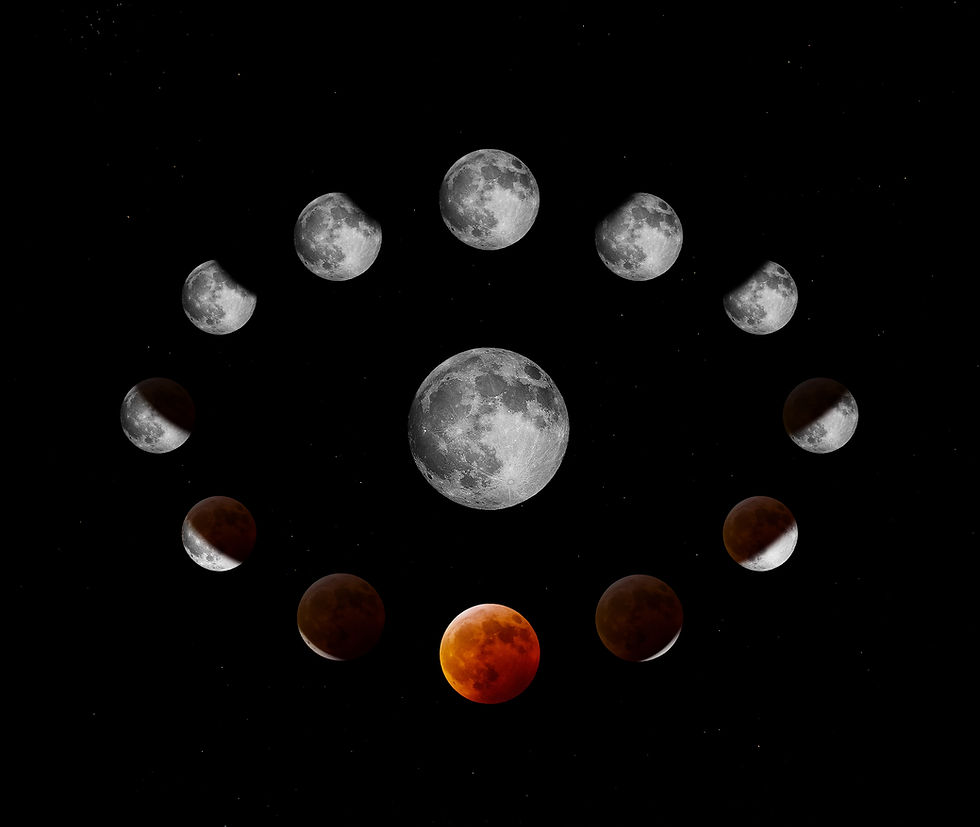Image de Alexander Andrews