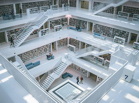 Image by Gabriel Sollmann