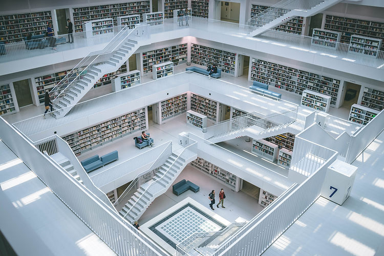 Image by Gabriel Sollmann