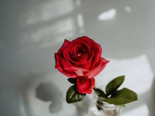 Dating for Business? Supplier Partnerships, Part 1