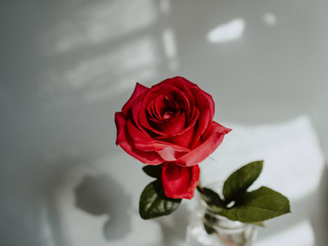 “Ang Rosas ng Sharon.”