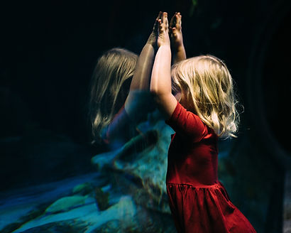 Image of a girl in a red dress standing against her reflection in the mirror; the reflection has a blue dress.