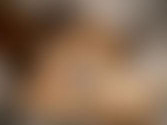 Chihuahua |Hondentraining