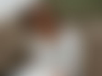 골로새서 읽는 기도