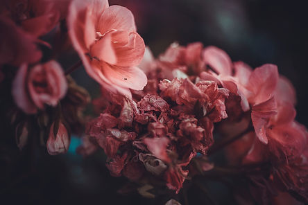 Image de Ksenya von Shlezinger
