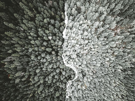 Image by Anthony Intraversato
