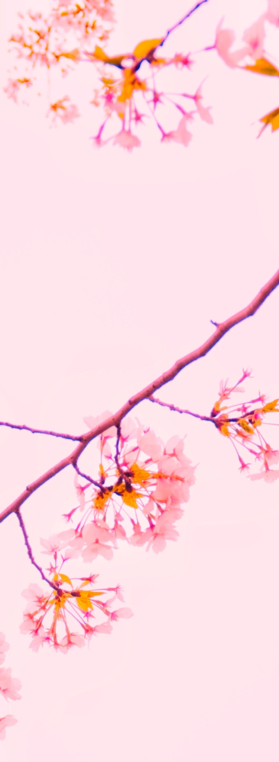 Image by Mi Min