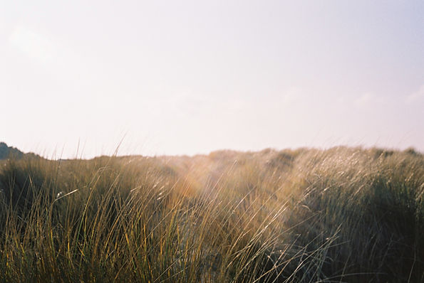 Image by Jeroen Bendeler