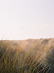 Image by Jeroen Bendeler