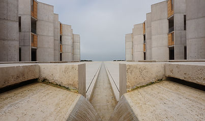 Image by Adam Bignell