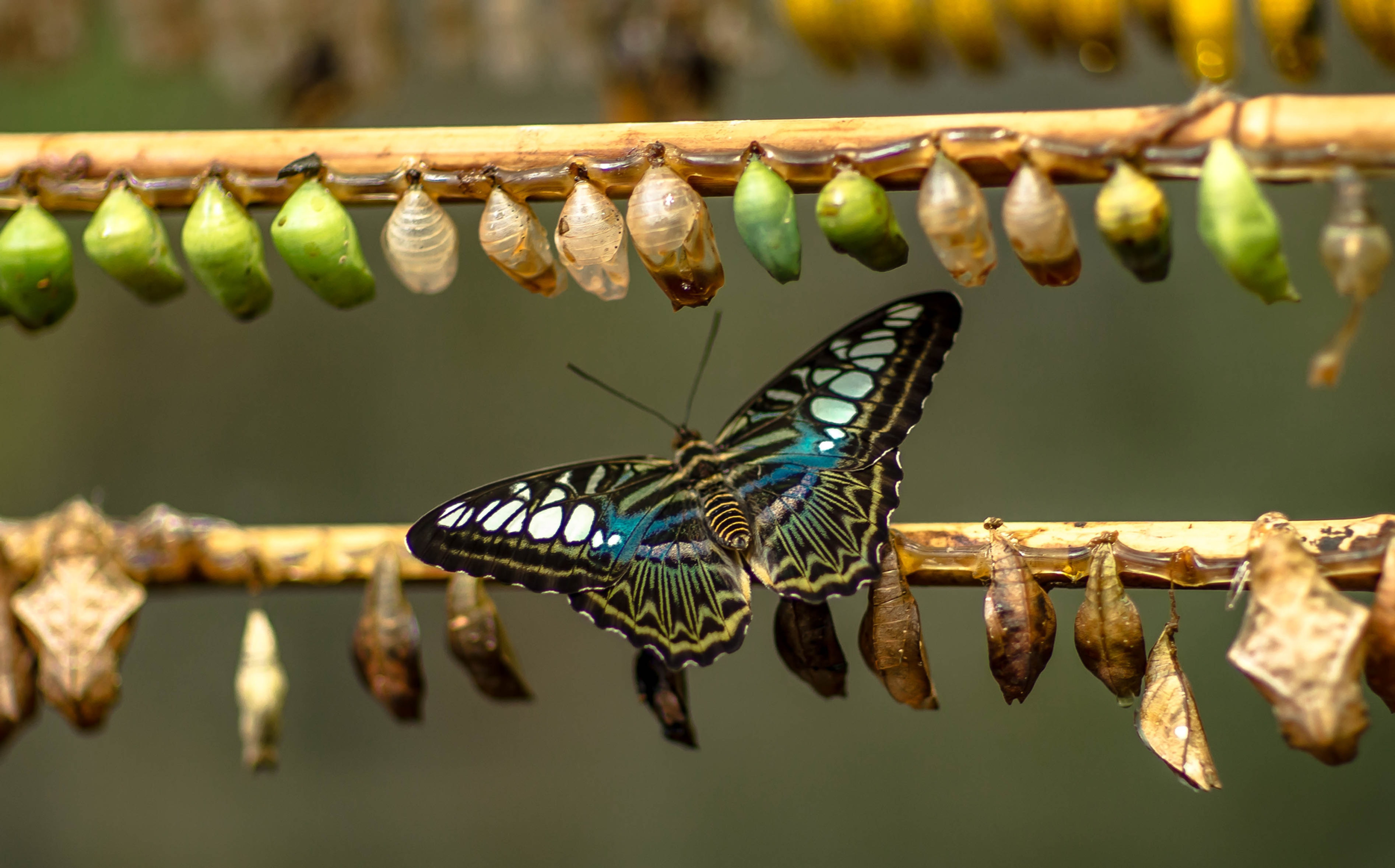 Learn how Operating Model Transformation removes growth friction ...