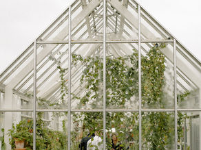 Using Diatomaceous Earth in the Greenhouse