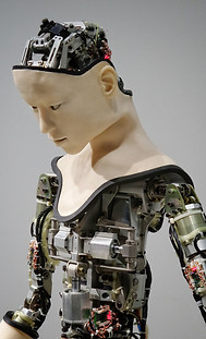 technology translation services