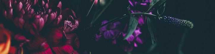 Image by Annie Spratt