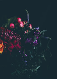 Image by Annie Spratt