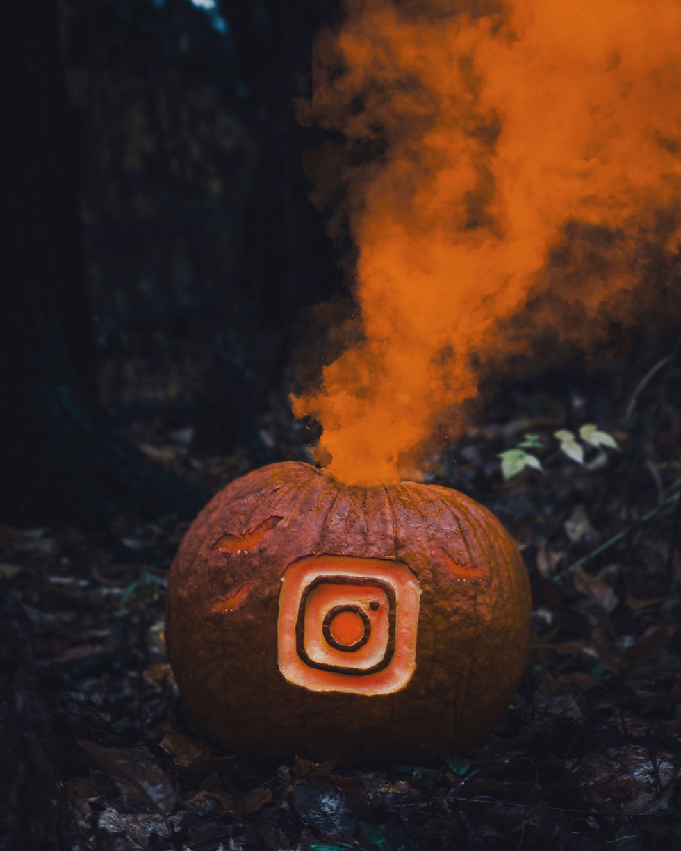 como funciona o algoritmo do instagram