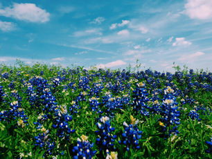 Texas Advanced Healthcare Directives: Secure Your Wishes Before It’s Urgent