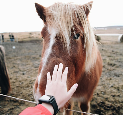 Image by Chelsea Murphy