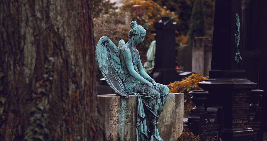 Image by Veit Hammer