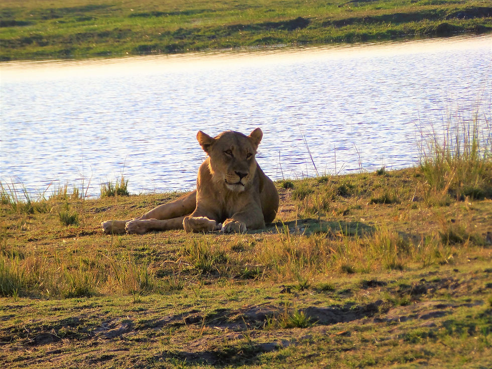 Chobe National Park