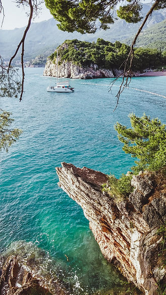 Image by Bear Lissimo
