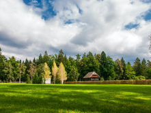 A rustic cabin amidst lush green trees, with a vibrant grass field in the foreground and a cloudy sky above, creating a serene mood.