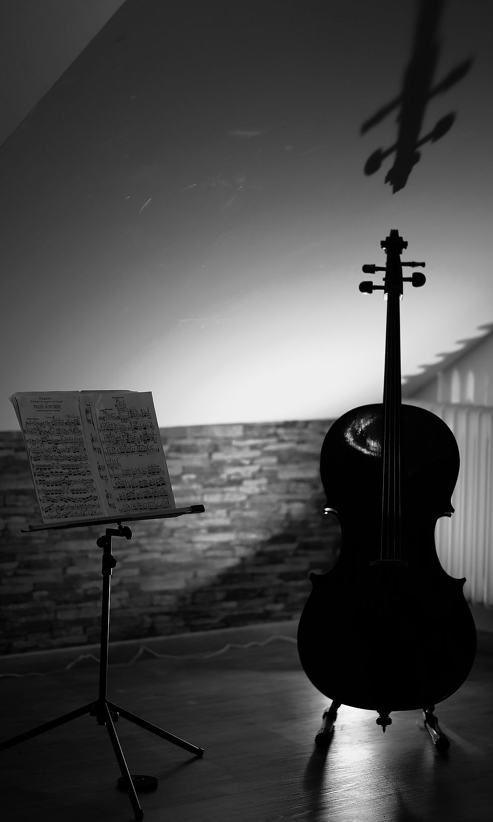École de violon AHC : cours de violoncelle