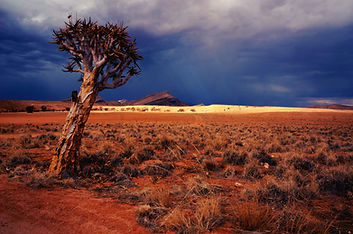 Image by Johnny Africa