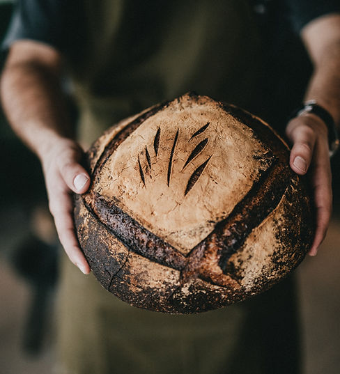 Image by Nathan Dumlao