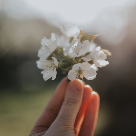 Herramientas de Afrontamiento