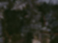 Image by Sophie