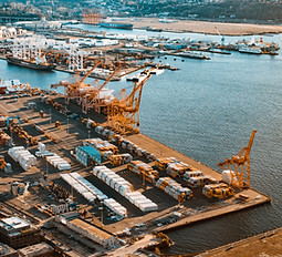 Image by Shunya Koide