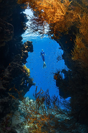 Image by NEOM