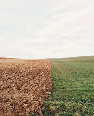 Image by elizabeth lies