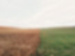 healthy soil image