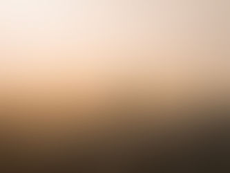 Uma aventura para cães em Amsterdã, hotéis que aceitam animais de estimação em Amsterdã