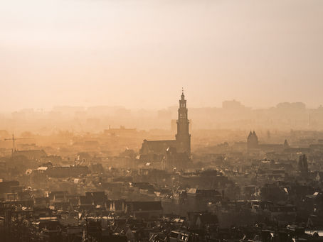 Uma aventura para cães em Amsterdã, hotéis que aceitam animais de estimação em Amsterdã