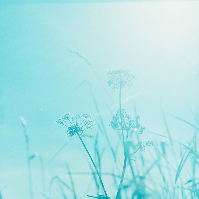 Image by Annie Spratt