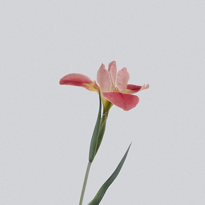 Image by Han Chenxu