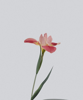 Image by Han Chenxu